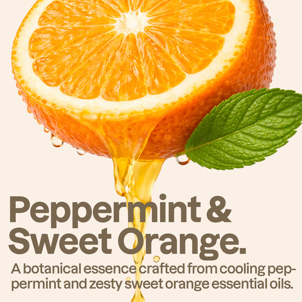 Hydrating Shampoo - Essential Oils - Image 5
