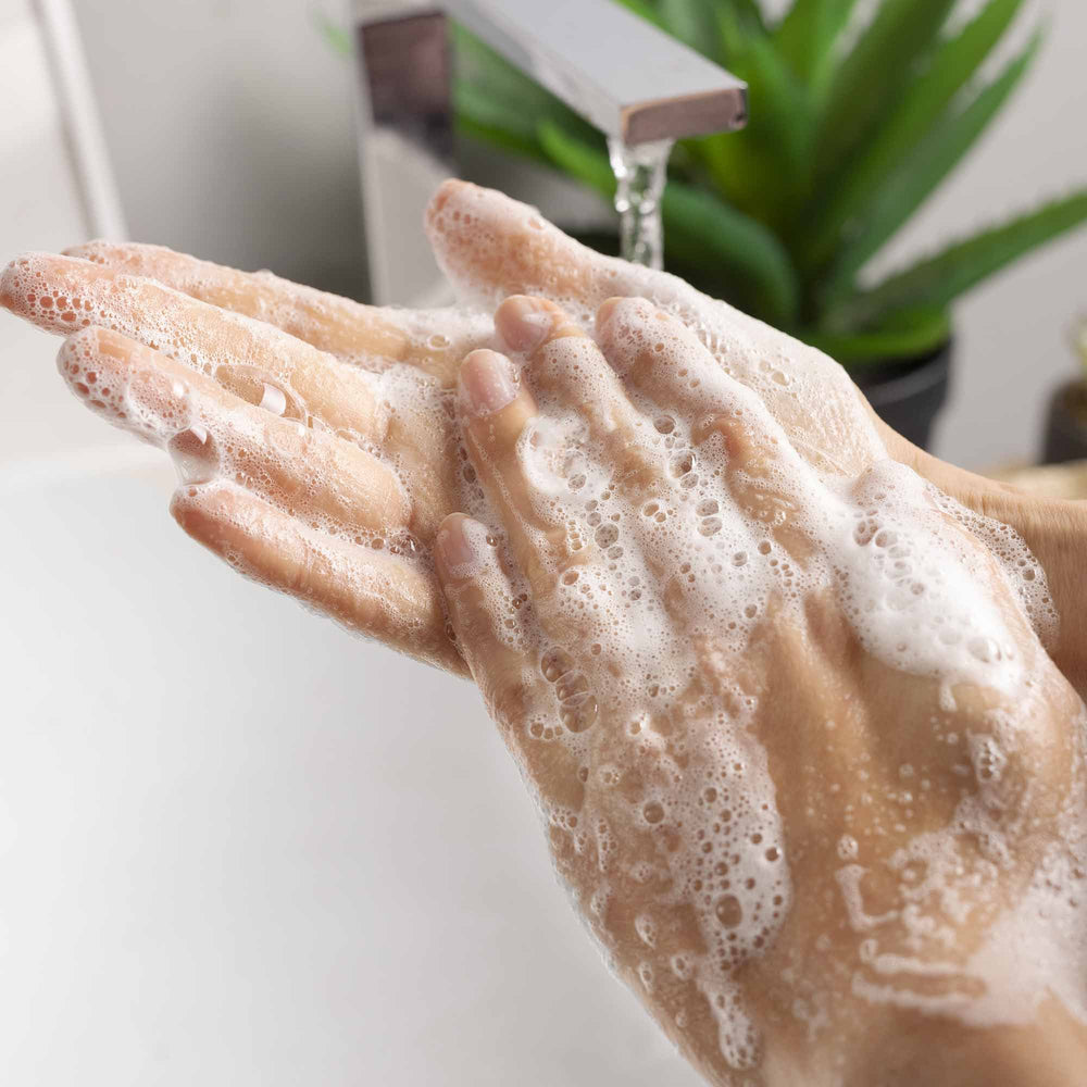 Foaming Hand Soap Kit - Image 2